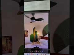 एलईडी छत पंखा प्रकाश अच्छी गुणवत्ता सबसे अच्छा विक्रेता